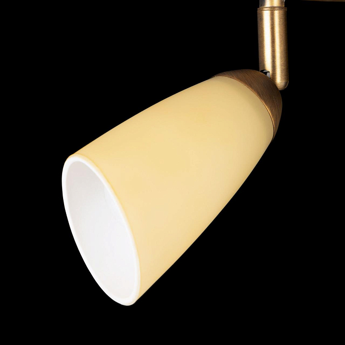 Спот  CL501163