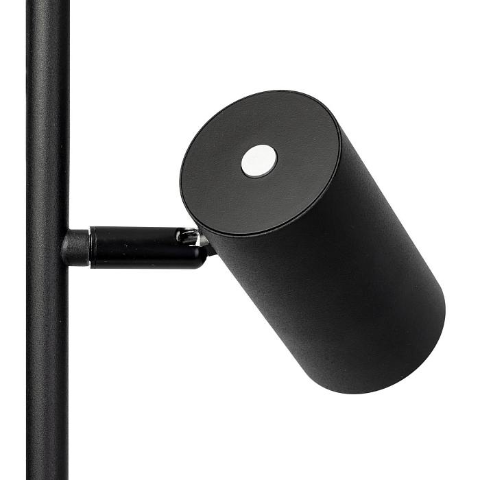 Торшер  CL809011N