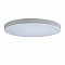 Светильник LOFT IT 10002/48 White