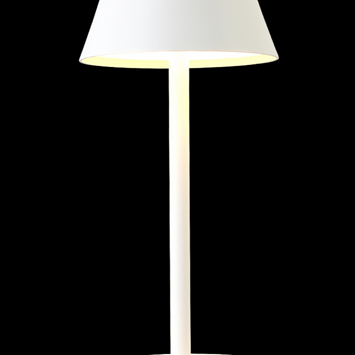 Настольная лампа интерьерная Crystal Lux SANTA LG1 WHITE